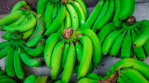 Green Bananas