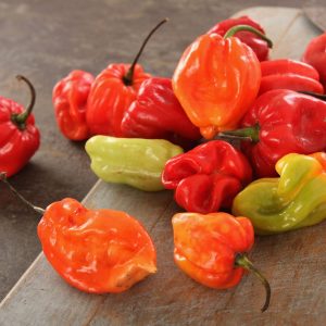 Chopped Scotch Bonnet Peppers